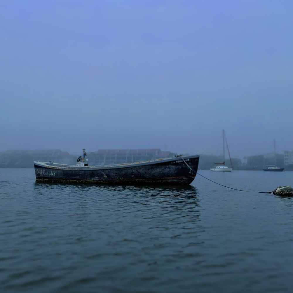 Meet your Posher, Sea